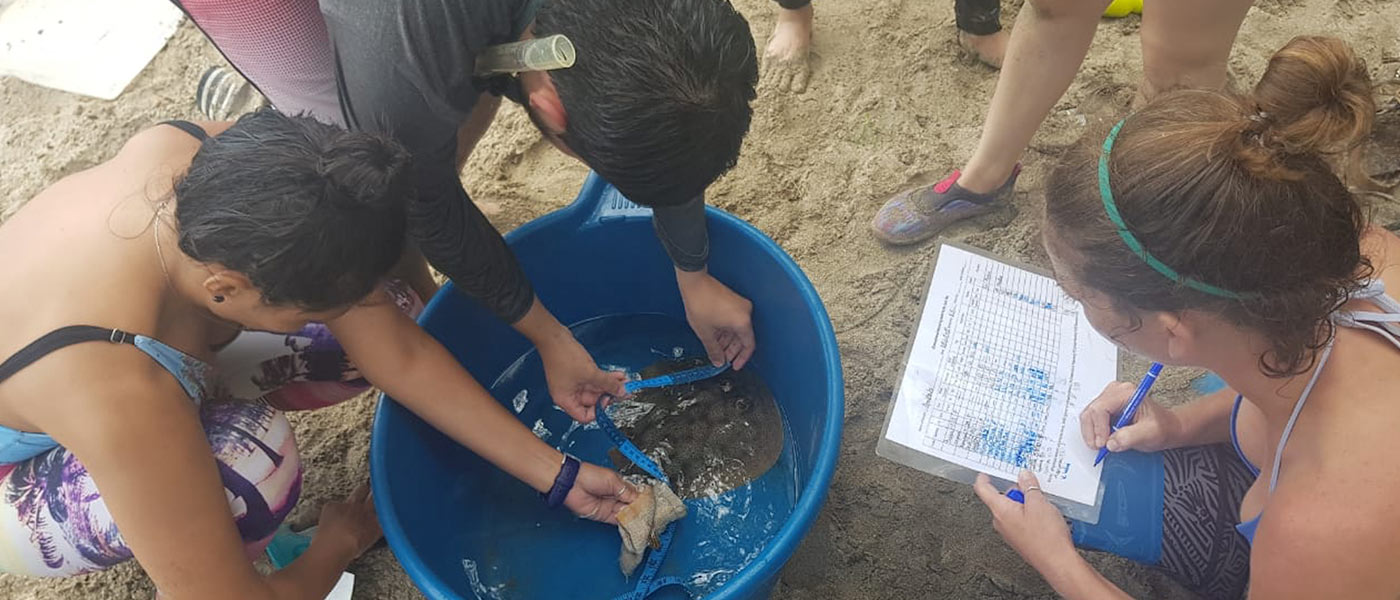 Volunteering in Marine Conservation