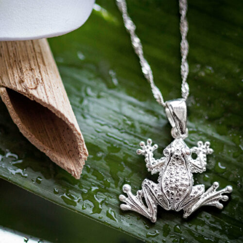 925 sterling Silver milk frog necklace for lovers of life, ocean and earth who want to support marine conservation and community empowerment, science, women in science and sdg14