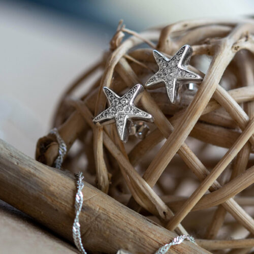 925 sterling Silver Panamic Cushion Star (Pentaceraster cumingi) earrings for lovers of life, ocean and earth who want to support marine conservation and community empowerment, science, women in science and sdg14