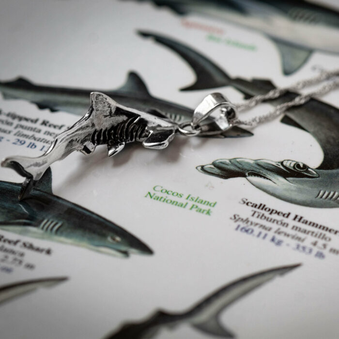 by shopping for this piece of ocean jewelry, you support research to protect the species. Using technologies such as acoustic telemetry, researcher have found that hammerheads often travel vast distances between islands of the Eastern Pacific, connecting Cocos, Galapagos and Malpelo island and therein creating oceanic highways that require protection