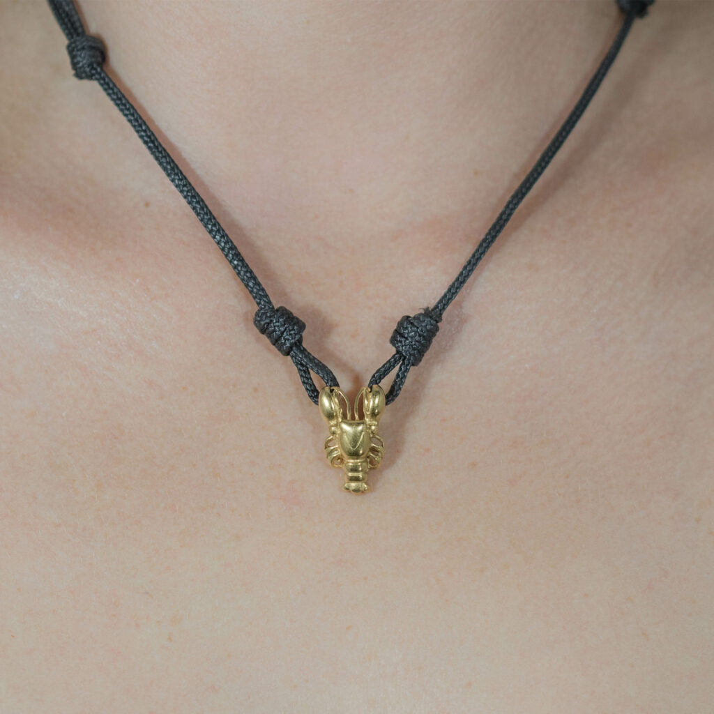 Spiny Lobster Necklace Salinas Bay Science Research and Online Shop