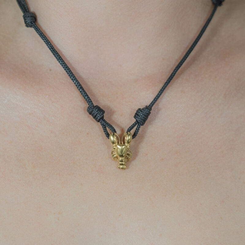 Spiny Lobster Necklace Salinas Bay Science Research and Online Shop